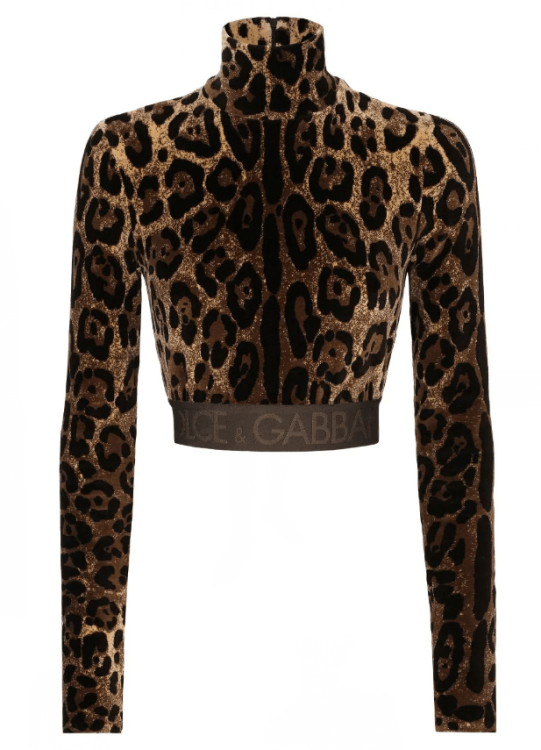 leopard print high neck blouse